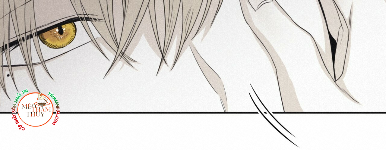 chiếu tướng chapter 44 36