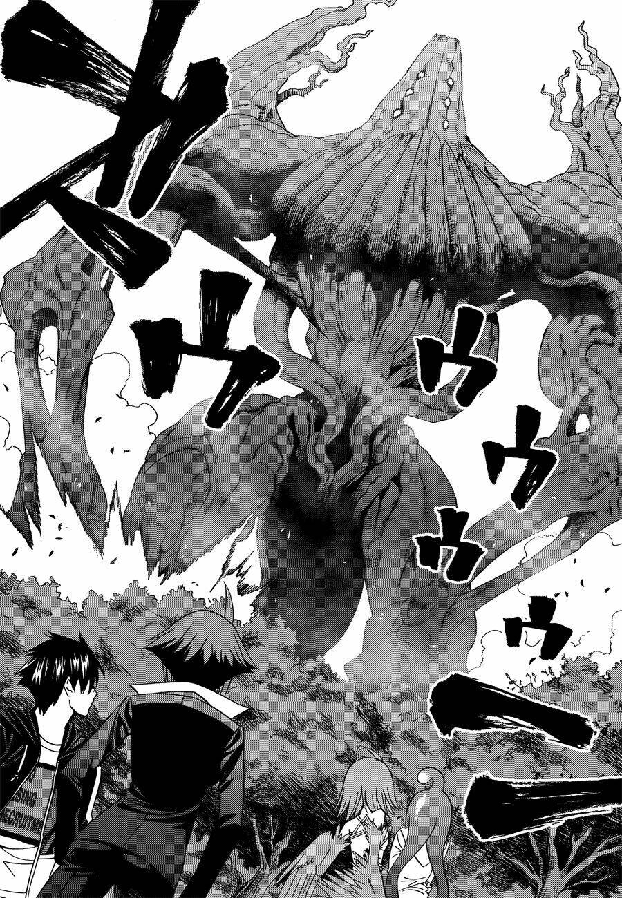 các nàng thú yêu chapter 20 7