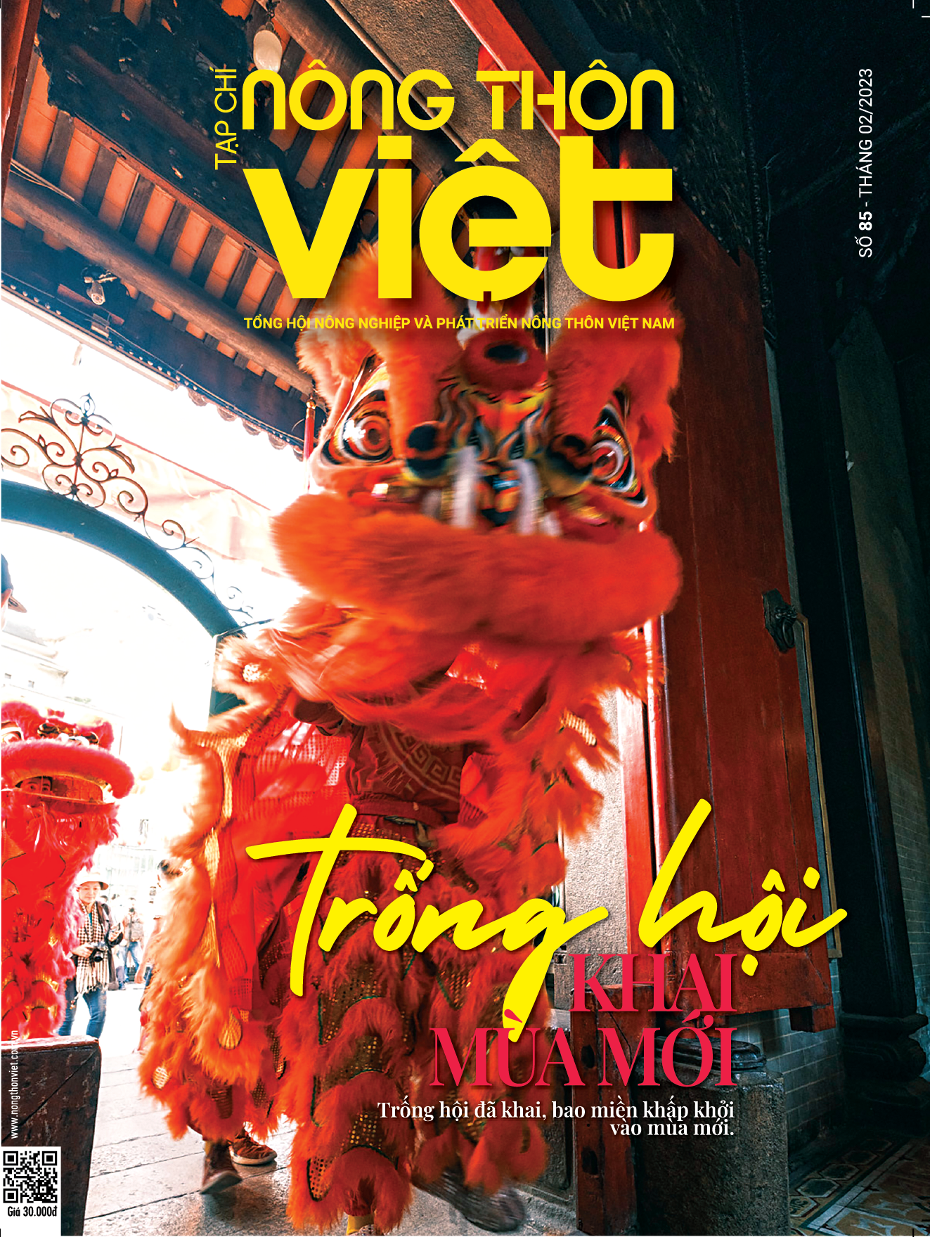 Tạp chí Nông thôn Việt Số tháng 2/2023