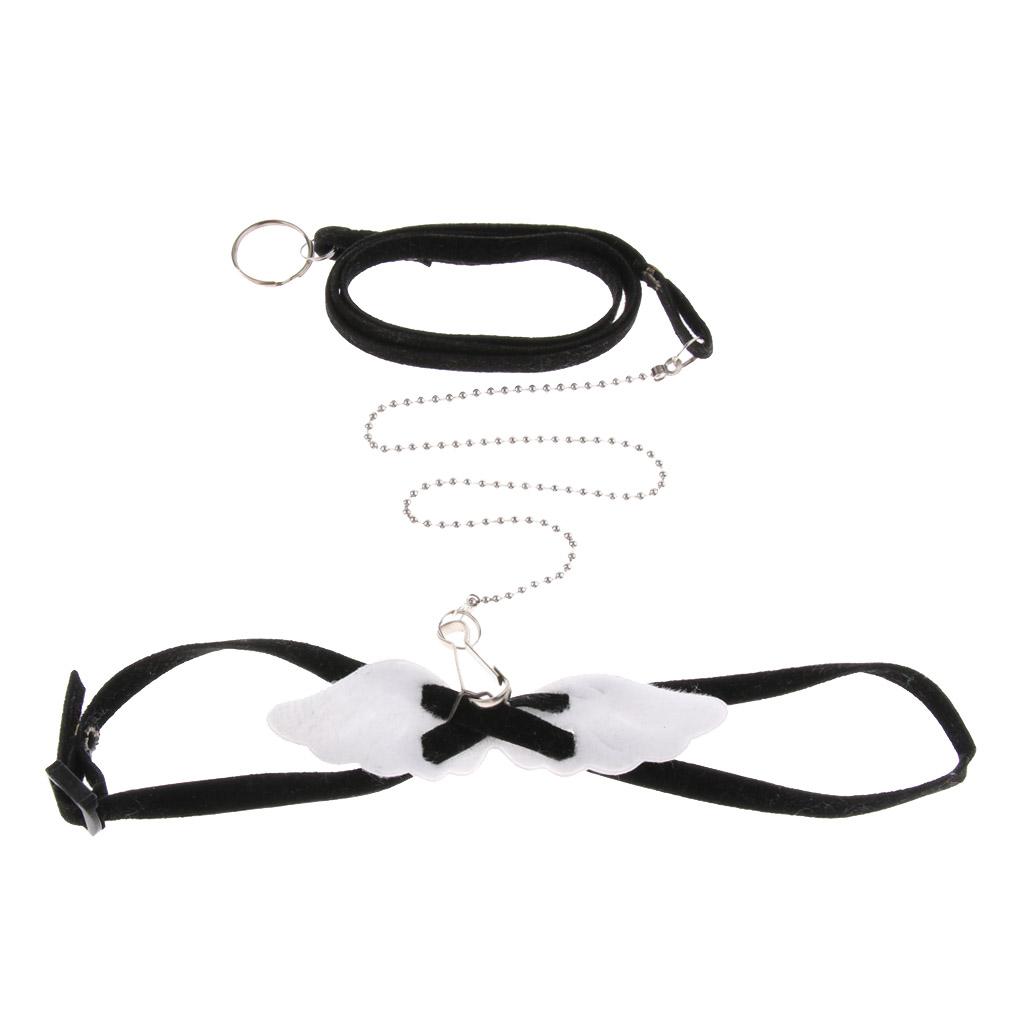 Bearded Dragon Reptile Lizard Gecko Turtle Tortoise Adjustable Harness Leash