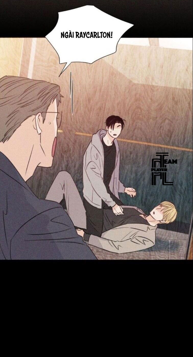 cái giá của sự nổi tiếng chapter 17 26