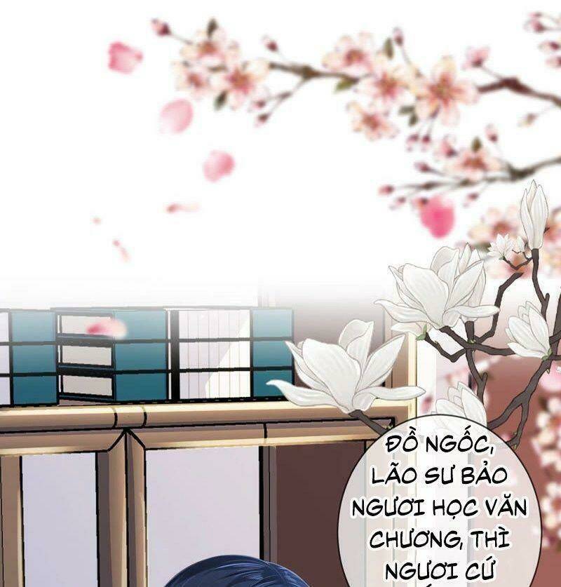 quận chúa vững vàng, thiết lập nhân vật không thể vỡ chapter 0 41