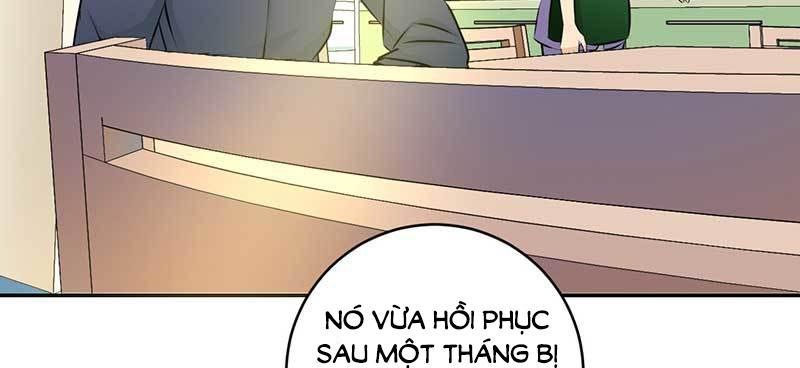 thế thân phiền toái, tổng tài một sắc khí chapter 4 37