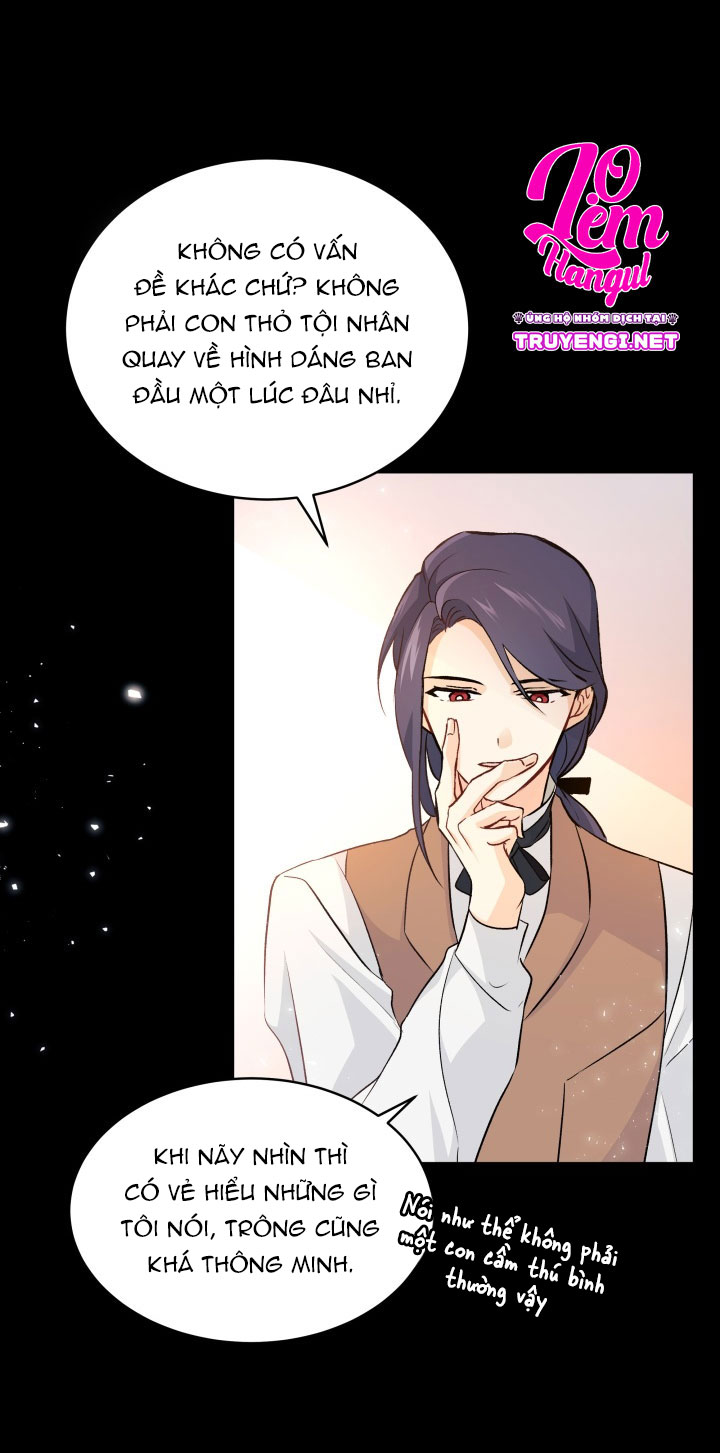 mối liên kết giữa báo đen và bé thỏ chapter 2 33