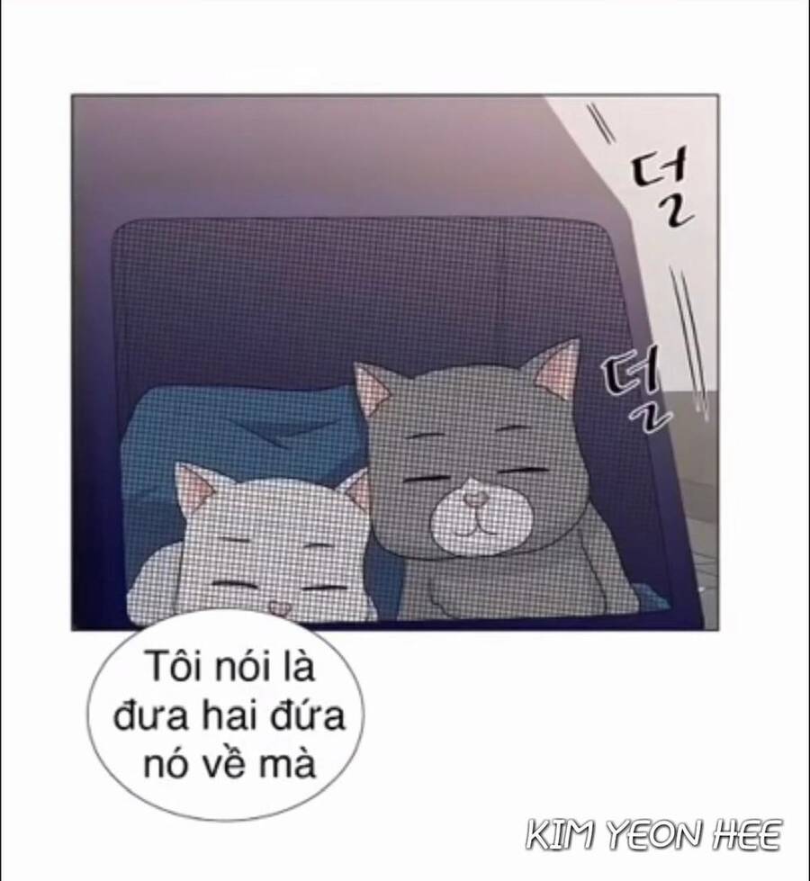 idol và sếp, em yêu ai? chapter 128 22