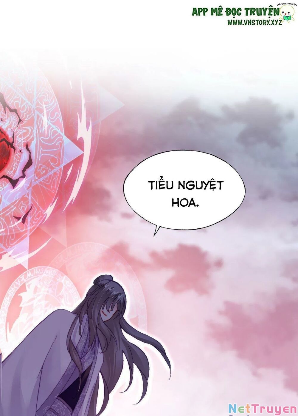 lại bị bệnh chiều chuộng quấn lấy chapter 60 6