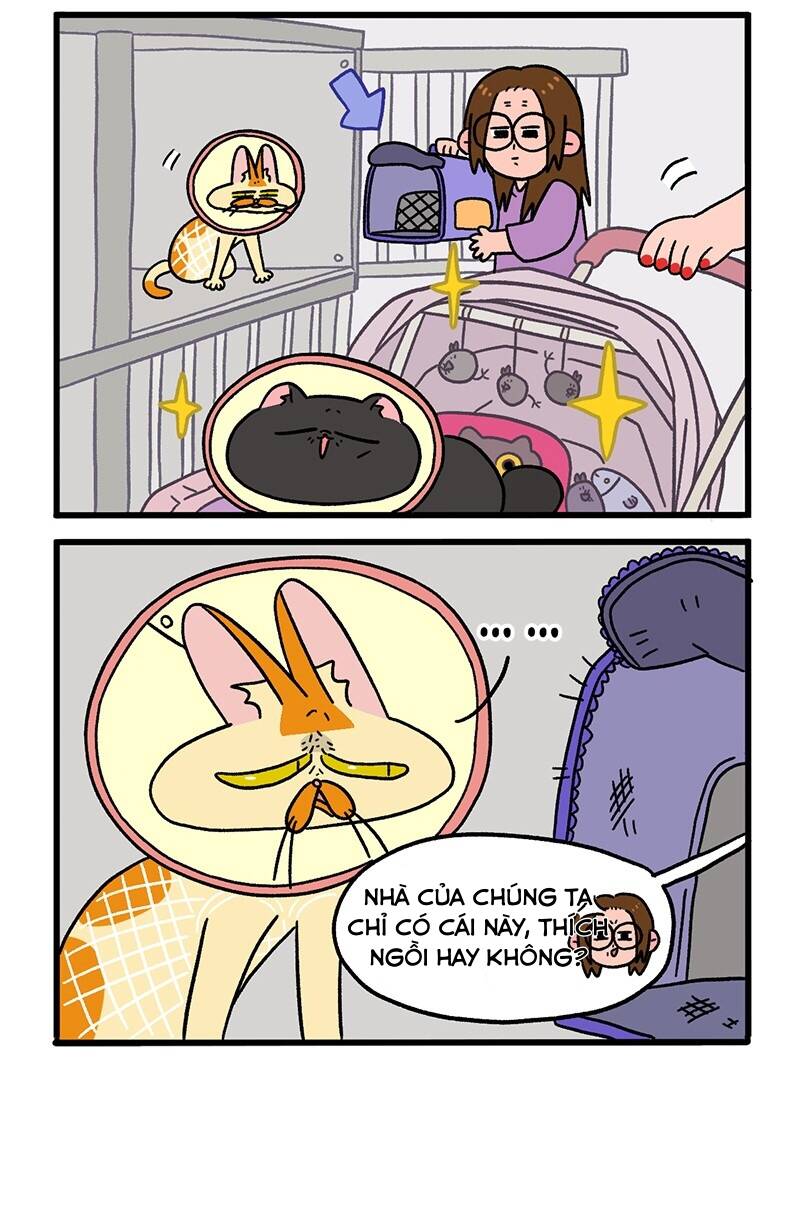 a mãn và mạch trà chapter 21 6