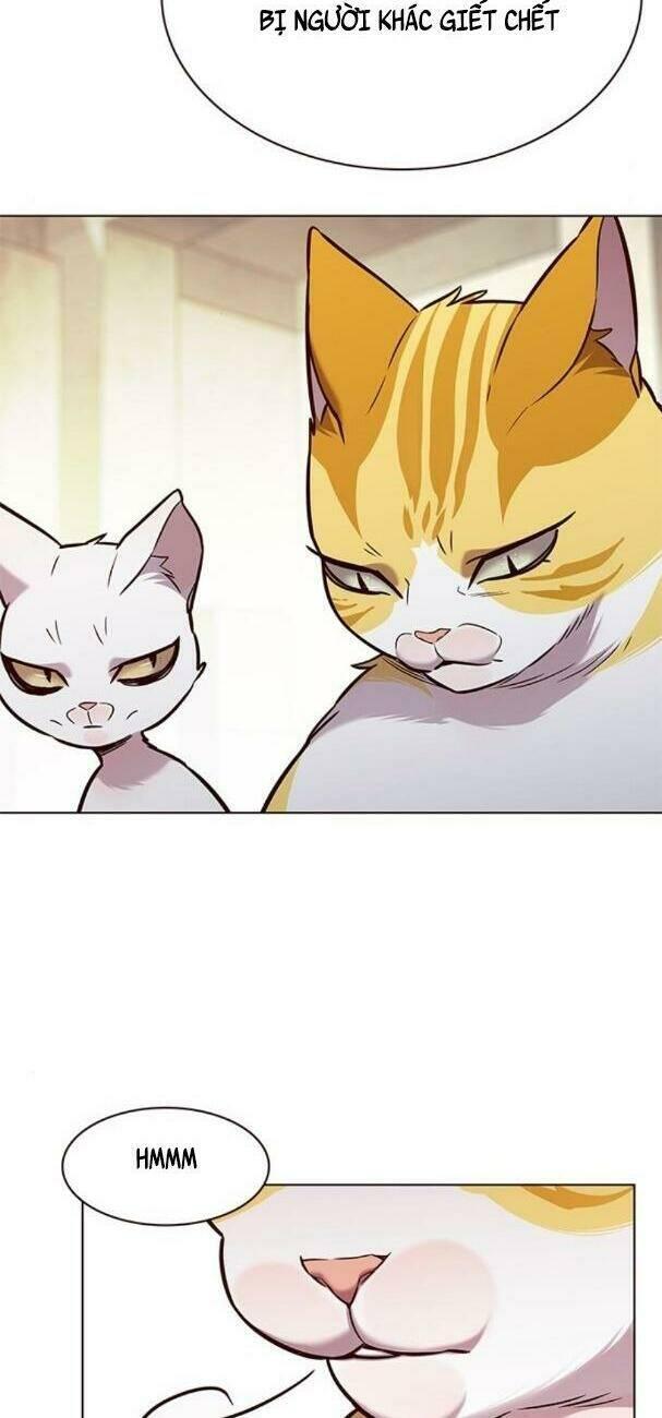 biến thân thành mèo chapter 180 19