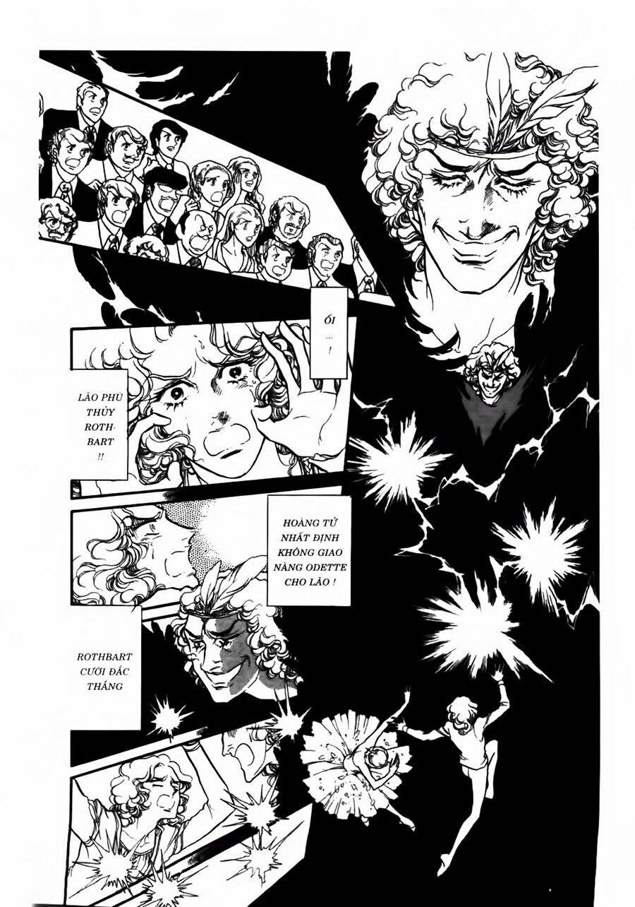 swan - vũ khúc thiên nga chapter 43 16