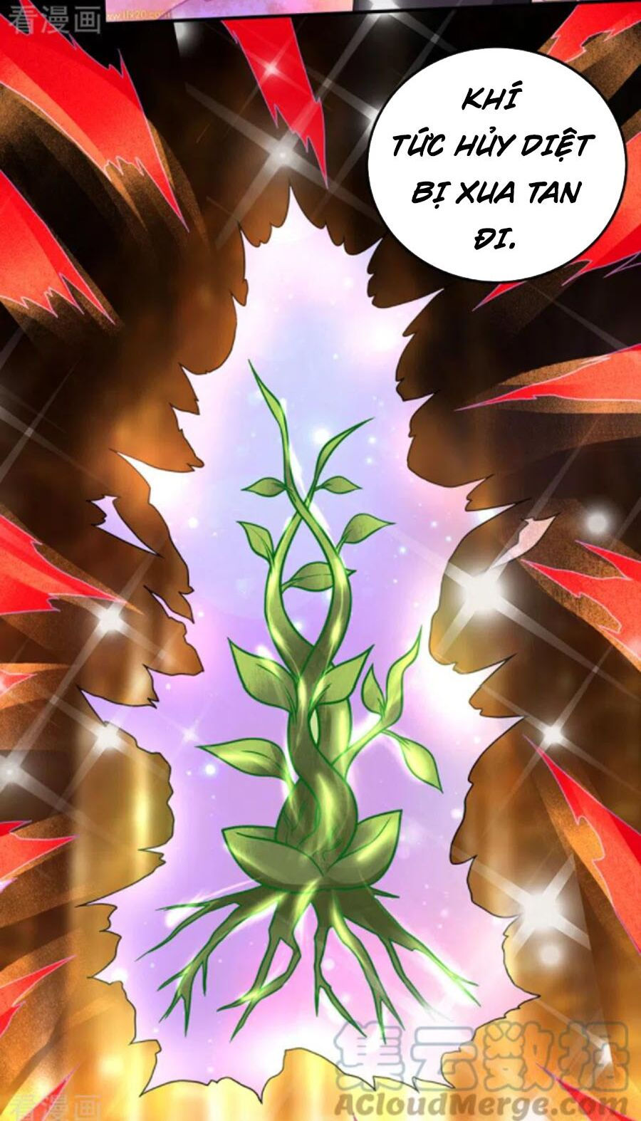 tối cường thần y tại đô thị chapter 240 3
