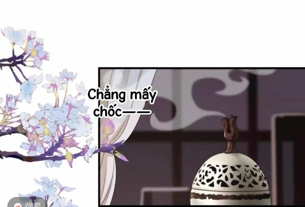 sủng phi của vương chapter 59 11