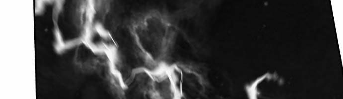 Sát Thủ Anh Vũ Chapter 74 150