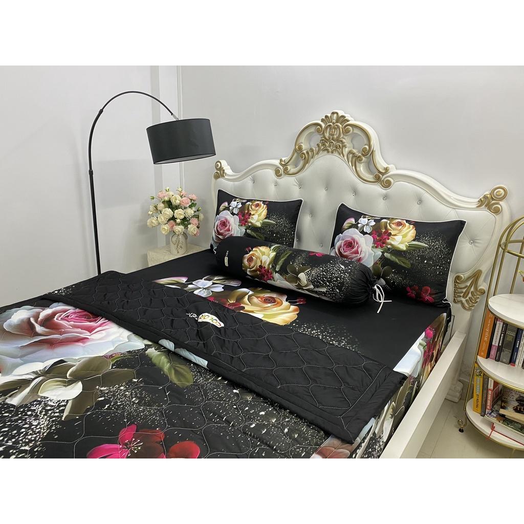 Bộ Drap mền gối thun Ý 5D Cao Cấp , mát lạnh, thấm hút tốt// có mền lẻ