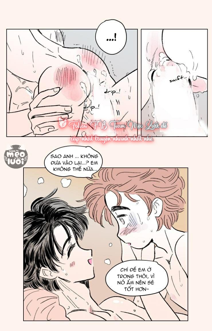 câu chuyện của hosik chapter 74 8