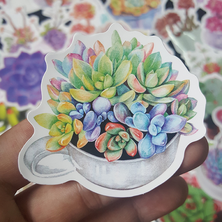 Bộ Sticker dán cao cấp chủ đề SEN ĐÁ SUCCULENTS - Dùng dán Xe, dán mũ bảo hiểm, dán Laptop