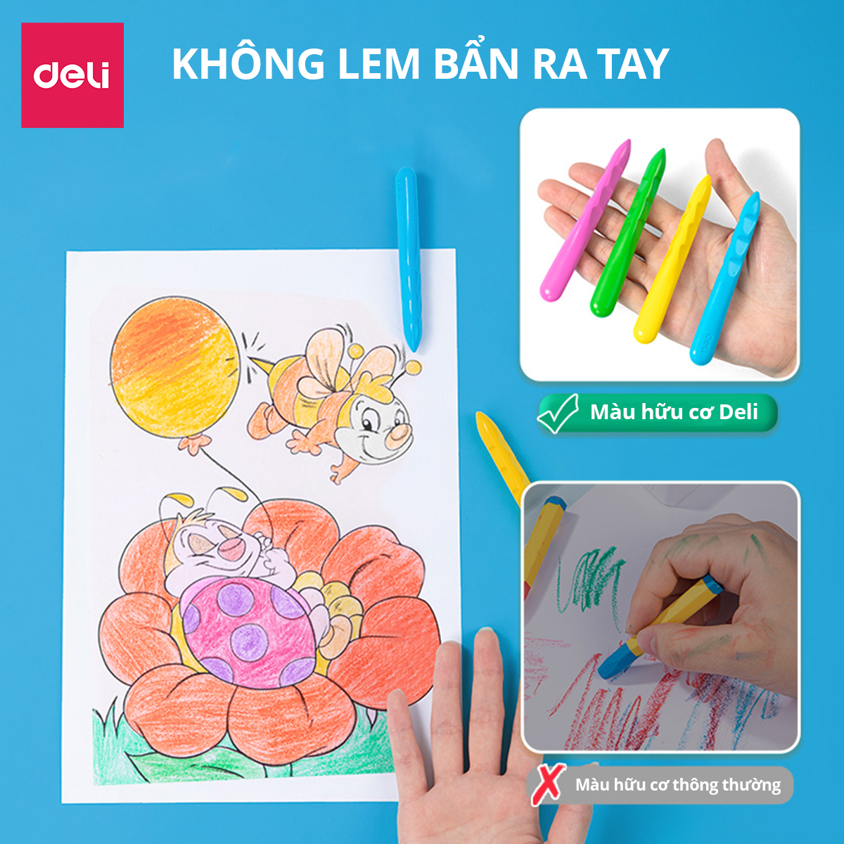 Bút Sáp Màu Bọt Biển Hữu Cơ Định Vị Deli- 2/24 Màu Tươi Ít Vụn An Toàn Không Bẩn Tay Tô Màu Vẽ Tranh