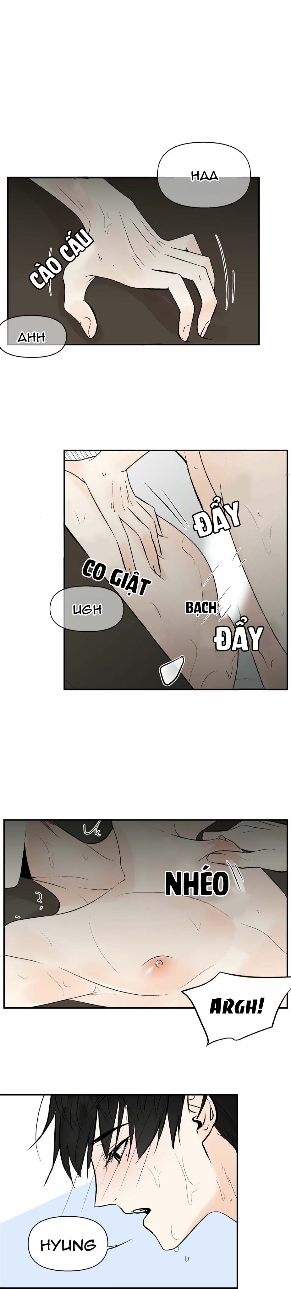 trú ẩn - haven chapter 9 10