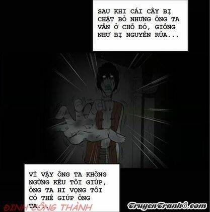 người đàn ông bên ngoài cửa sổ chapter 1 50