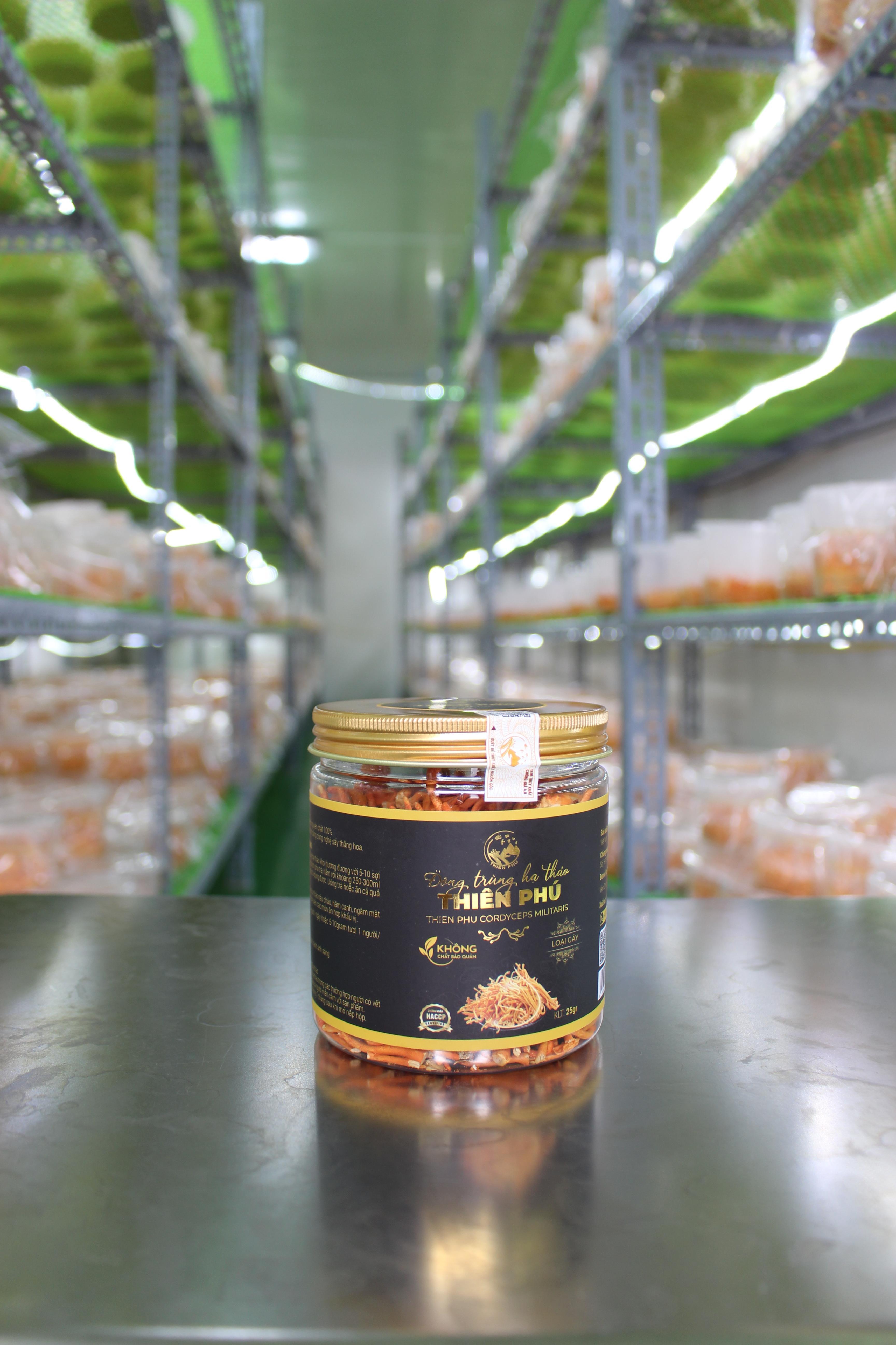 Đông trùng hạ thảo sấy thăng hoa 25g