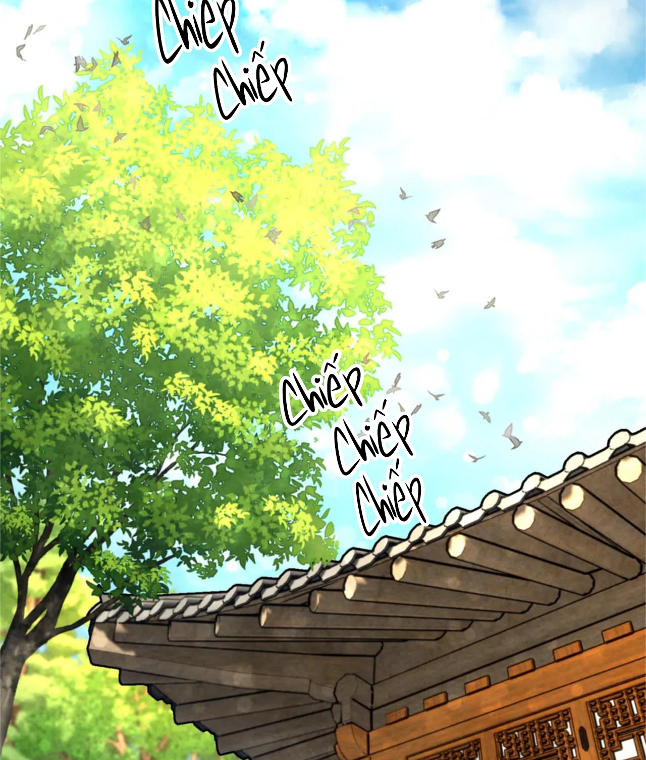 phò mã quan phu chapter 6 6