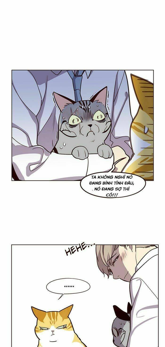 biến thân thành mèo chapter 10 27