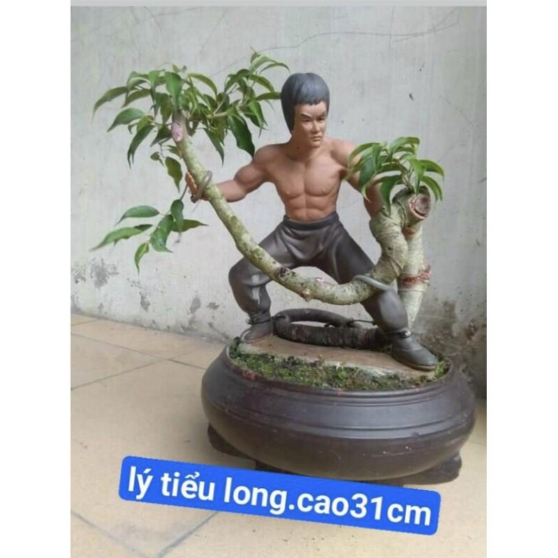 Tượng ghép bonsai Lý Tiểu Long thế cực chất