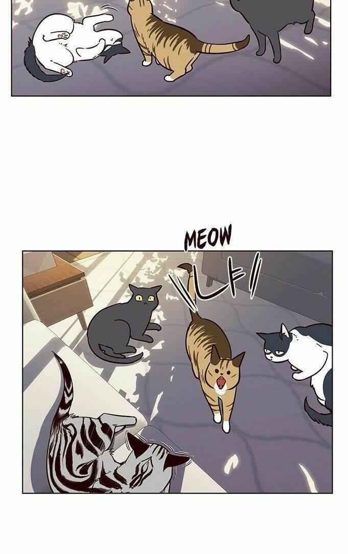 biến thân thành mèo chapter 7 37