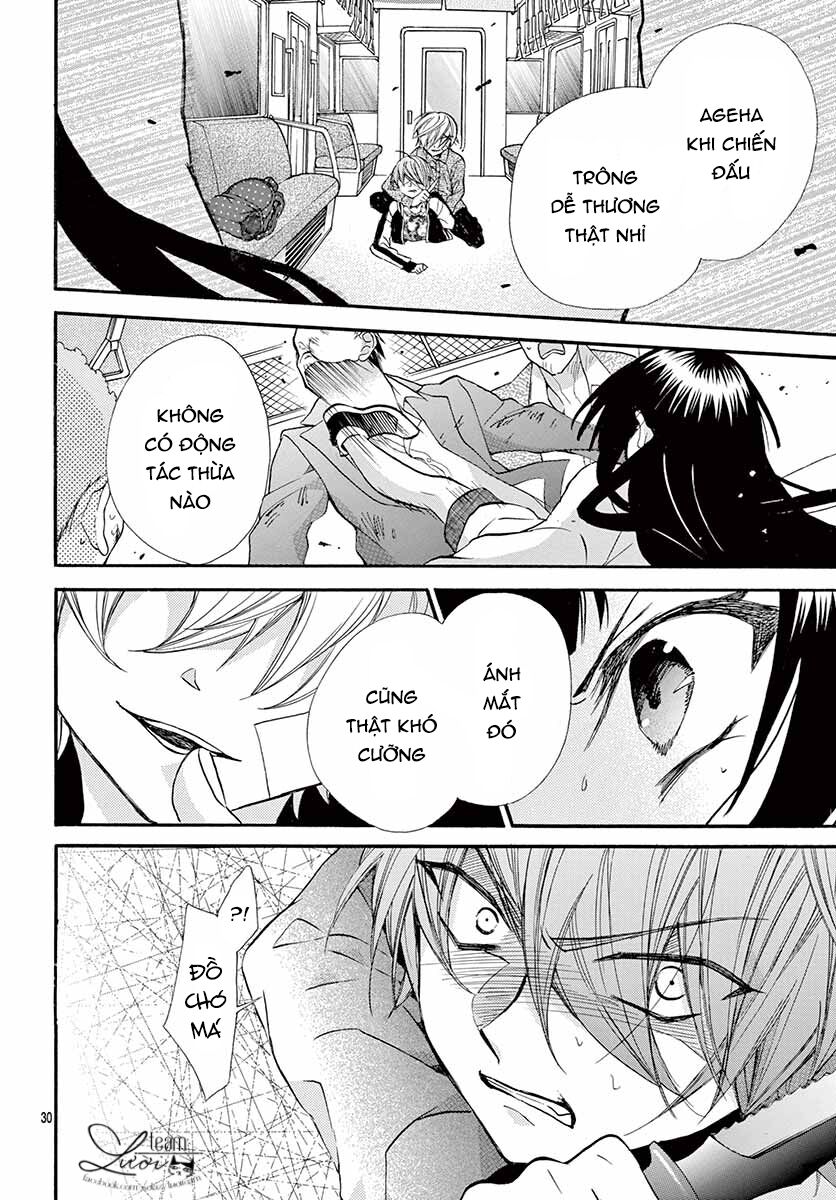 chàng rể giả nhân giả nghĩa chapter 5 30