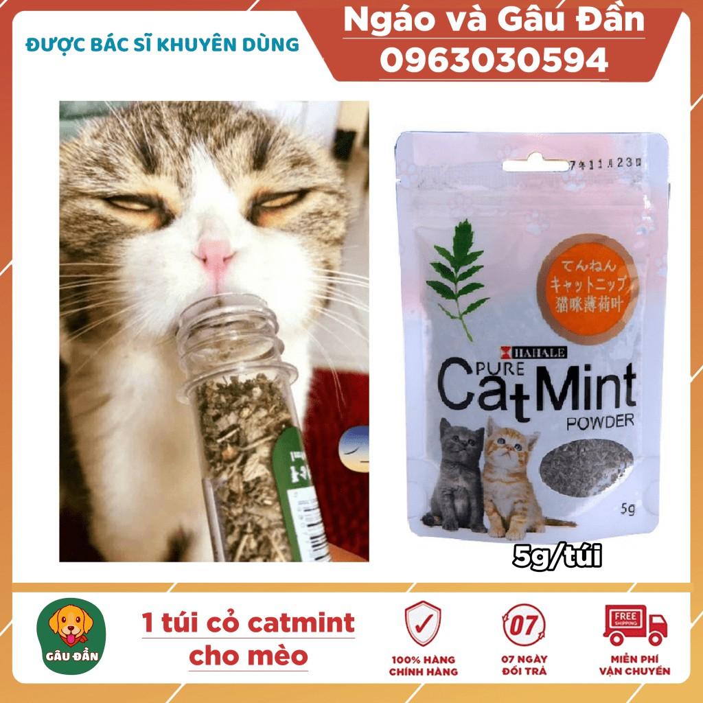 Túi catnip cho mèo, bạc hà mèo Catmint Ngáo Và Gâu Đần 5gr