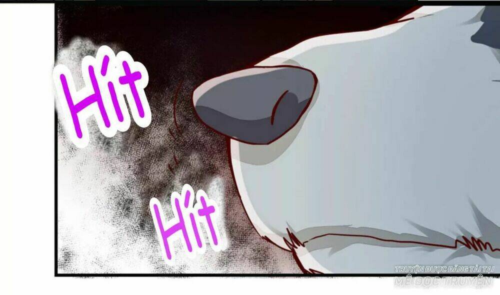 công chúa là nam nhân chapter 6.2 11