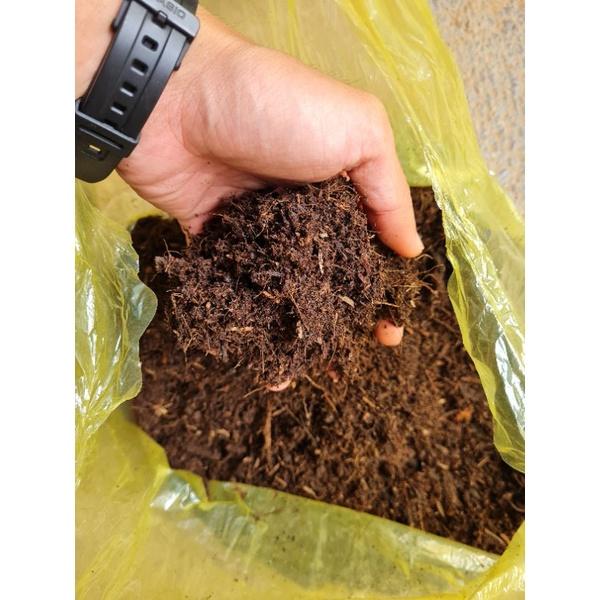 Đất trồng cây trộn sẵn