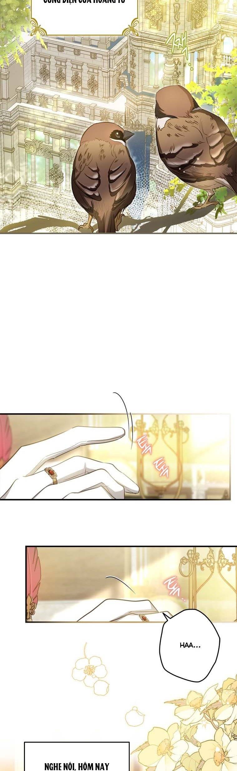 đã bảo nữ chính cải nam trang cơ mà ! chapter 26 15