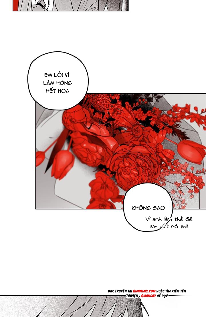 bữa tiệc của những đóa hoa chapter 27 35