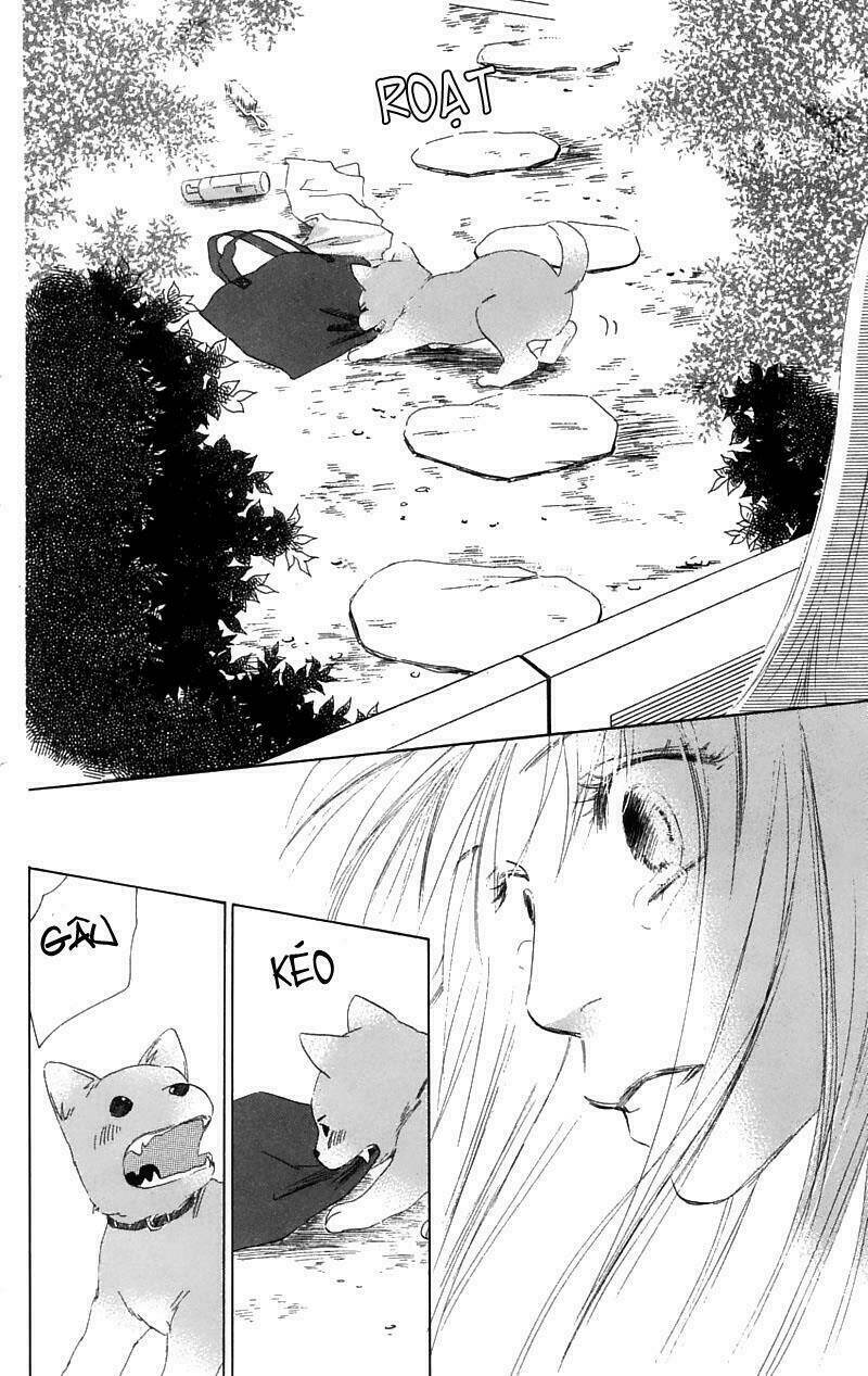 100% no kimi e chapter 5 44