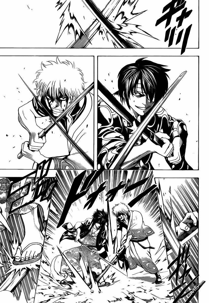 gintama - linh hồn bạc chapter 516 8