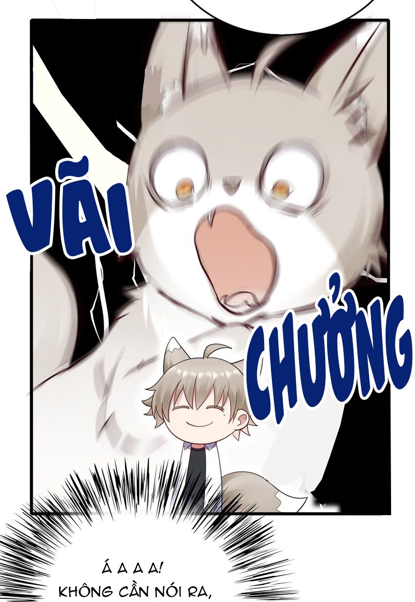 tức thời phạm quy [ tức thì vi quy ] chapter 61 22