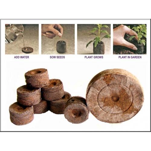 100 viên nén ươm hạt giâm cành - viên nén xơ dừa ươm hạt