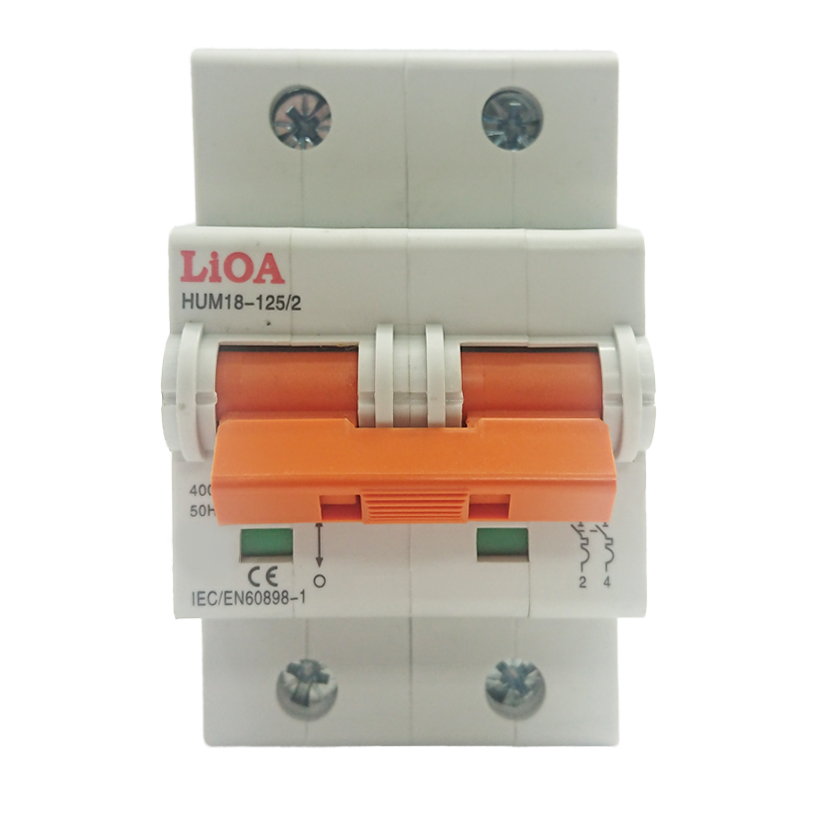 APTOMAT LiOA 2 Cực 100A Dòng Cắt