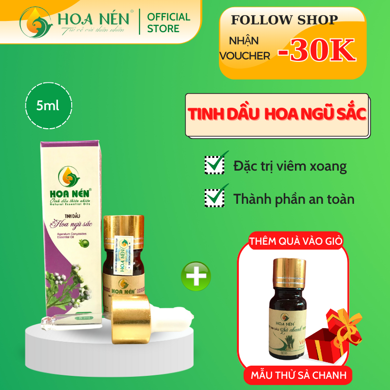 Tinh dầu hoa Ngũ sắc (cỏ hôi) nguyên chất Hoa Nén 5ml - 10ml - Đặc trị viêm xoang, viêm mũi dị ứng