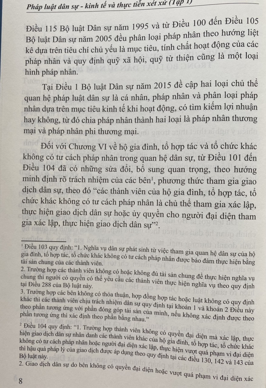 Pháp Luật Dân Sự kinh Tế Và Thực Tiễn Xét Xử ( Tập 1 )