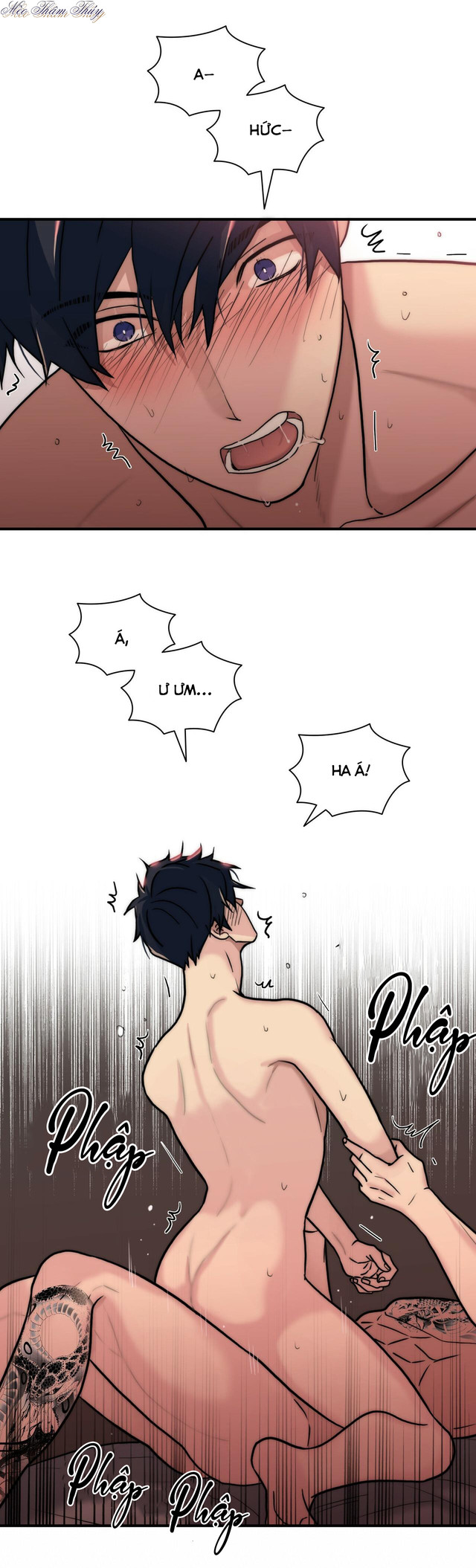 giai điệu của ngôn ngữ chapter 59 3