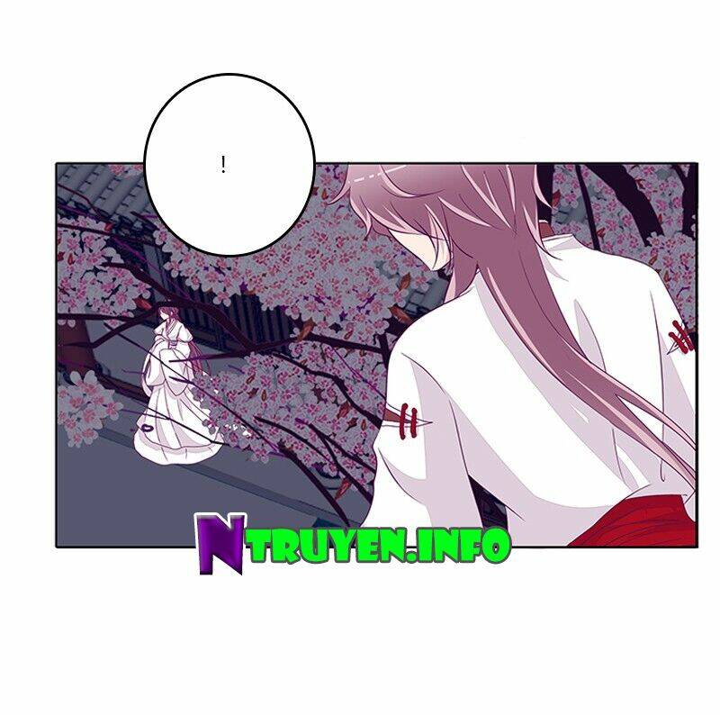 tướng quân mời ra trận chapter 43 12