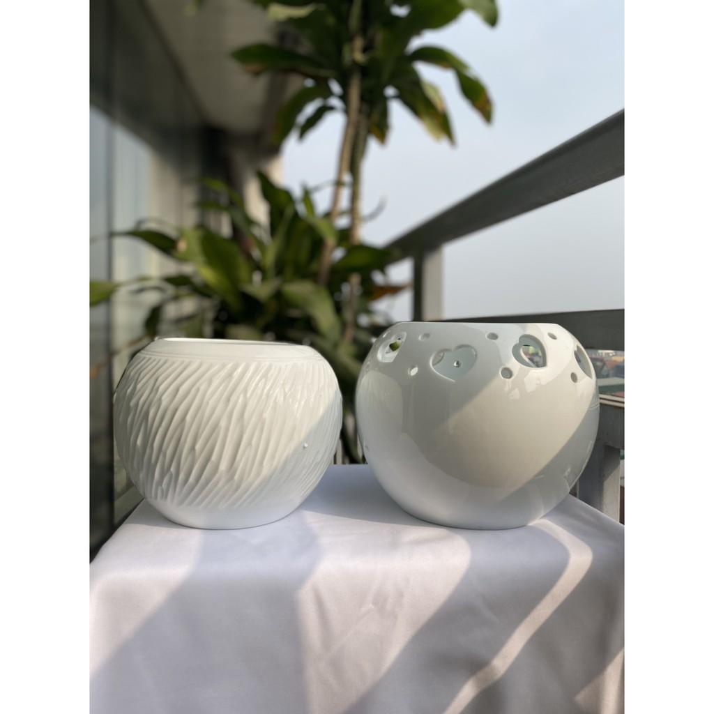 VÒ CẮM HOA TRẮNG TRANG TRÍ NHÀ CỬA