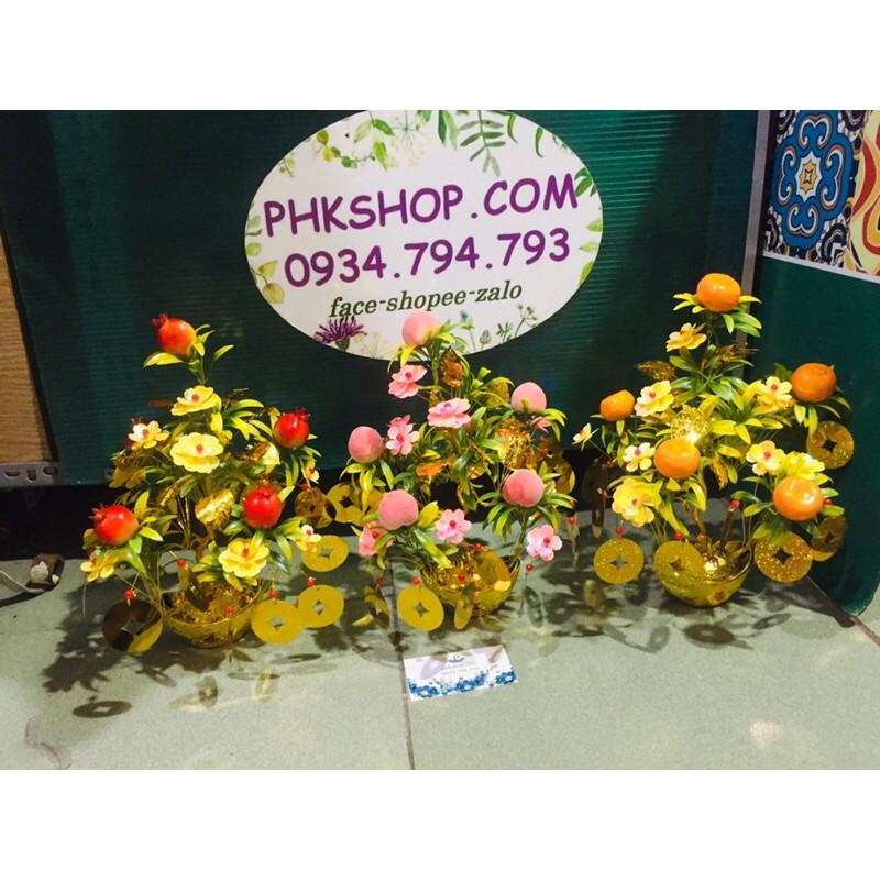 Góc thân kẽm 30cm đế Sen 10 nhánh phk shop