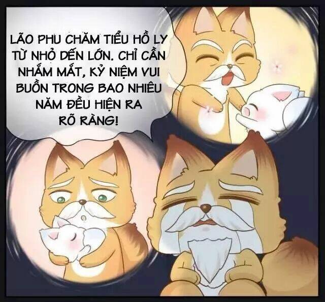 tiểu hồ ly vs tiểu hóa thượng chapter 73 10