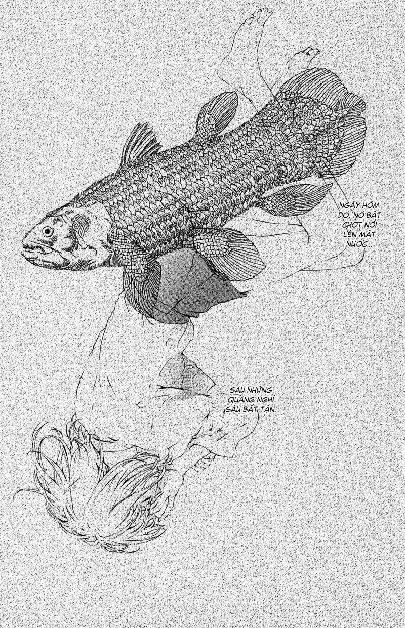 coelacanth chapter 1 5