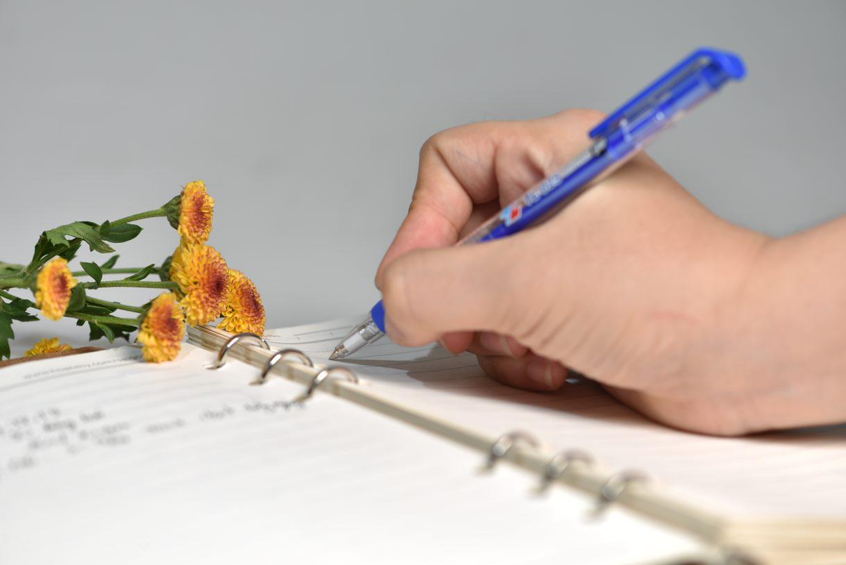 Hộp 20 Bút Bi Grip 0.8 mm Thiên Long TL-025 - Mực Xanh