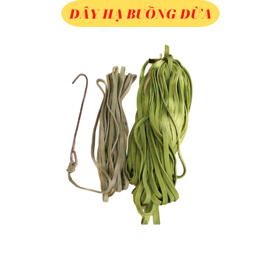 Móc hạ buồng dừa