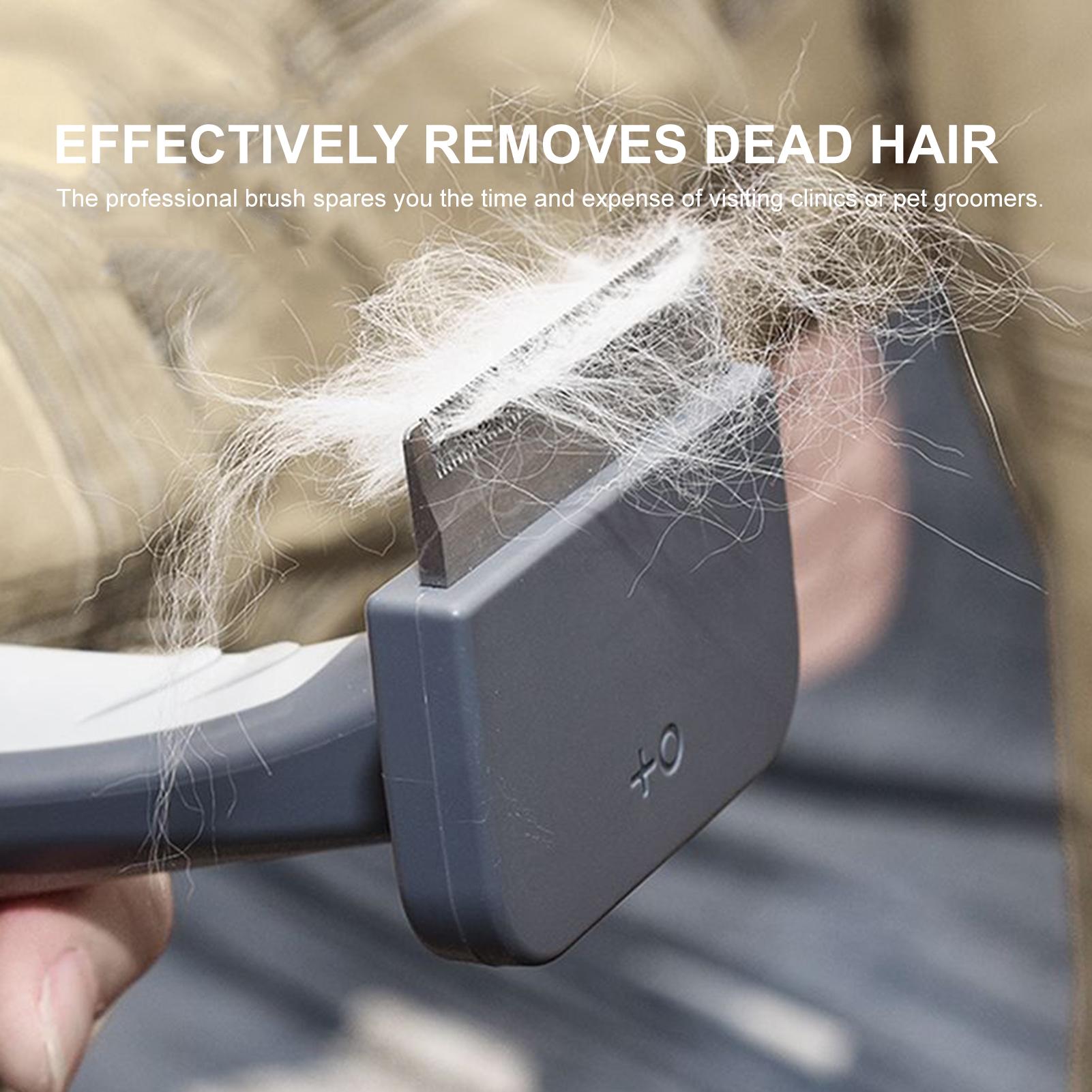 Dụng cụ chải lông & cạo lông dành cho thú cưng