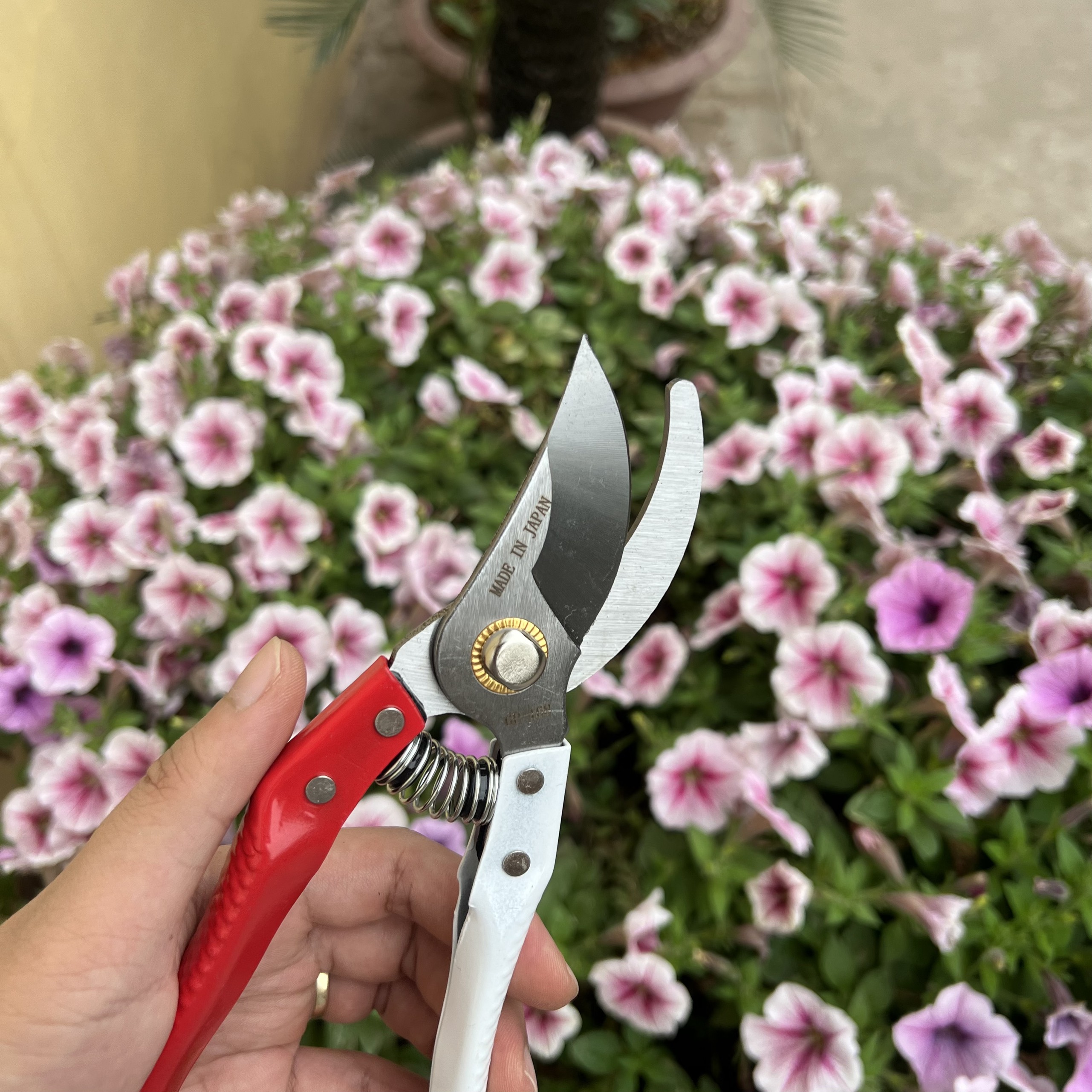 SET Bộ 3 Dụng Cụ Cắt Tỉa Cây Cảnh, Bonsai Hàng Nhật Bản